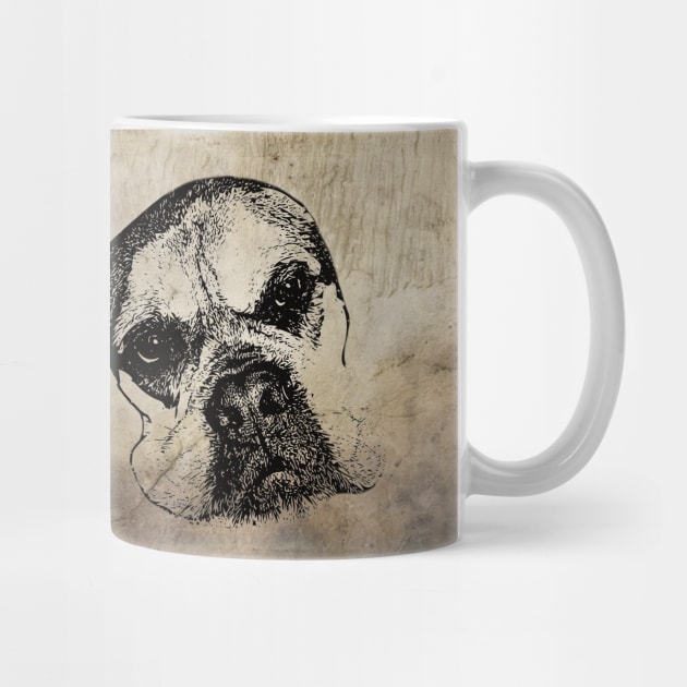 Bull Mastiff by DoggyStyles